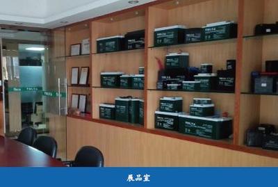 脚踏实地 志存高远——访佛山市尤尼电池总经理彭滨先生